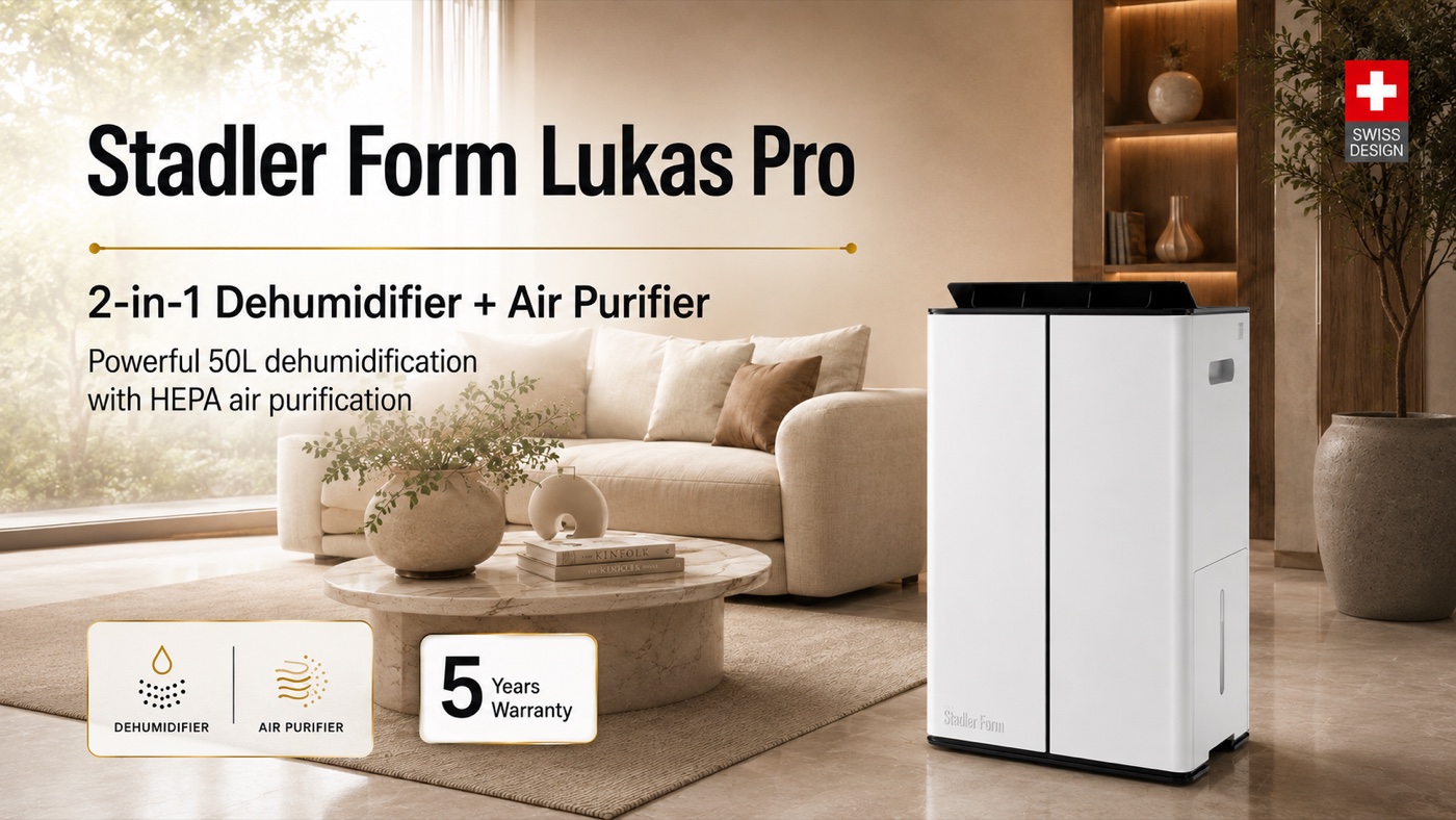 Open plan UAE living area where humidity is managed